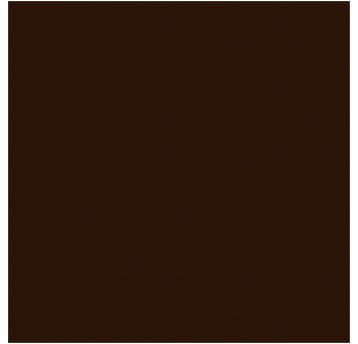 Brystol B1 18 brązowy ciemny 70x100cm 250g Europapier_62669