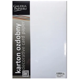 Karton wizytówkowy A4/20 gładki biały 250g/m2 Galeria Papieru