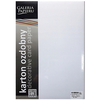 Karton wizytówkowy A4/20 gładki biały 250g/m2 Galeria Papieru_63136