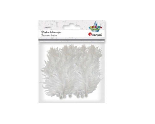 Piórka dekoracyjne Białe 50szt Titanum_68346