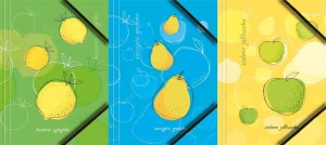 Teczka A4 kartonowa z gumką narożną owoce BT601-M1 Tetis Owoce