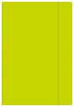 Teczka z gumką A4 Fluo Mix Interdruk_75824