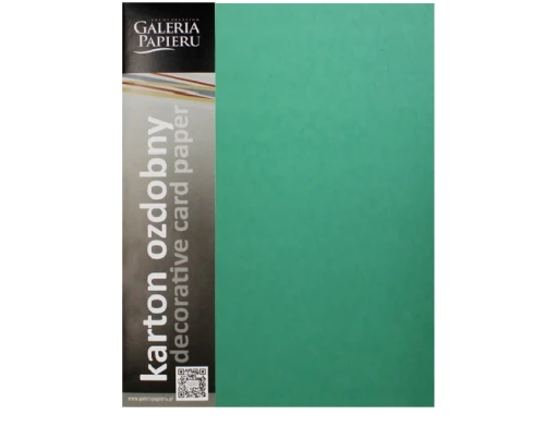 Karton Wizytówkowy A4 210g 20ark Gładki Zielony Galeria Papieru_78289
