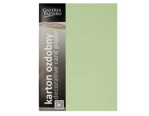 Karton Wizytówkowy A4 210g 20ark Gładki Jasnozielony Galeria Papieru_78290