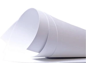 Brystol B1 250g Biały 70x100cm
