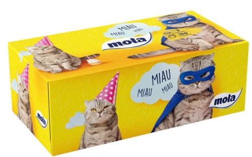 Chusteczki higieniczne Family bezzapachowe 2 warst. kartonik 150 szt. Mola