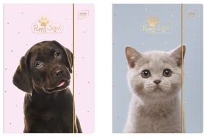 Teczka z gumką A4 Puppy Sign Interdruk