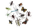 Zwierzęta insekty 545335 Mega Creative_85405
