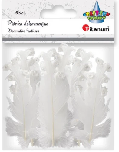 Piórka białe 6szt 396539 Titanum _54042