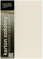 Karton ozdobny A4 krem 220g kratka op20ark Galeria Papieru_88692