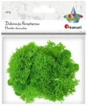 Dekoracja florystyczna Mech chrobotek jasnozielony, 20g Titanum_89229