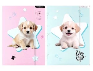 Teczka z gumką A4 Doggy 559706 Starpak