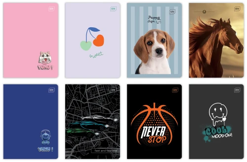 Zeszyt 3-linia kolorowa A5 32 kartki 1szt mix Interdruk_92823