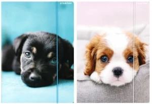 Teczka z gumką A4 Piesek Szczeniak Starpak