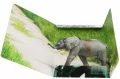 Teczka z gumką A4 wild animal Starpak_94416