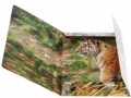 Teczka z gumką A4 wild animal Starpak_94417