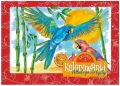 Kolorowanki Młodego Artysty Galeria 2 A4 Michalczyk i Prokop_94738