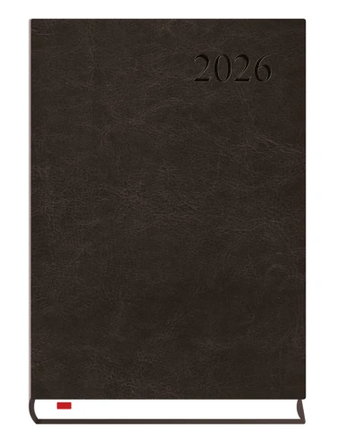 Terminarz Asystent Alaska czarny T-237A-V Michalczyk i Prokop 2026r_94890
