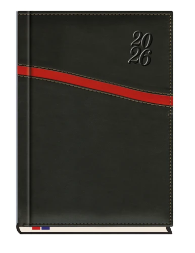 Terminarz Asesor B5 T-249K-01 Michalczyk i Prokop 2026r_94897