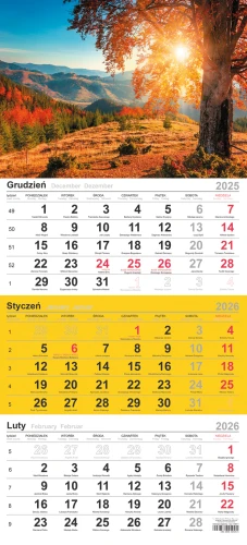 Kalendarz trójdzielny T-106T-12 Michalczyk i Prokop 2026r_95019