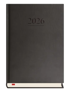 Terminarz Menadżera T-203V-V Czarny Michalczyk i Prokop 2026r 