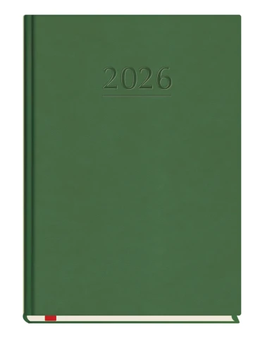 Terminarz Popularny T-209V-Z Zieleń Michalczyk i Prokop 2026r_95133