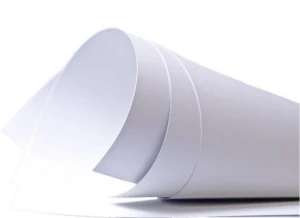 Brystol B1 300g 70x100cm biały 