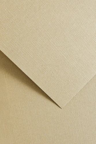 Karton Ryps jasnobeżowy A4 250g 20szt Galeria Papieru_96249