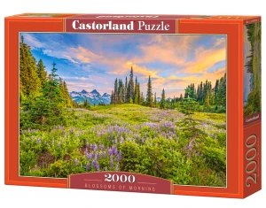 Puzzle 2000 el. Blossoms of Morning Castorland