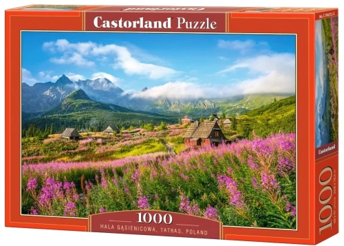 Puzzle 1000 el Hala Gasienicowa, Tatras, Poland Castorland_98080