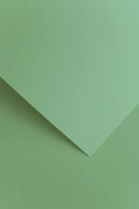 Papier wizytówkowy ozdobny A4 220g 20szt  SAWANNA szałwiowy 204816