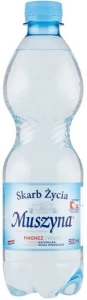 Naturalna woda mineralna Skarb Życia wysokozmineralizowana lekko gazowana 500 ml Muszyna