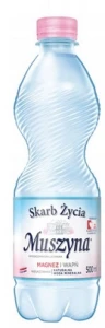 Naturalna woda mineralna Skarb Życia wysokozmineralizowana niegazowana 500 ml Muszyna