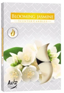 Podgrzewacz zapachowy kwitnący jaśmin 6 sztuk Bispol