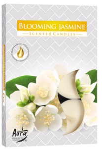 Podgrzewacz zapachowy kwitnący jaśmin 6 sztuk Bispol_98728