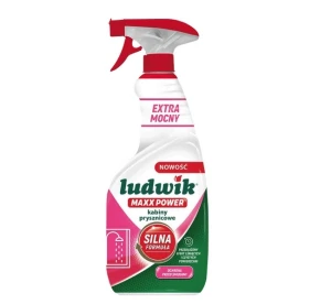 Płyn do Mycia Kabin Prysznicowych Maxx Power Spray 600ml Ludwik