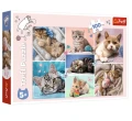 Puzzle W Kocim Świecie 100 el. Trefl_99133