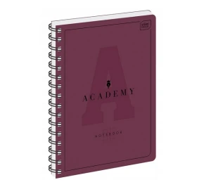 Kołozeszyt B5 w kratkę PP Academy 100 kartek 90g Interdruk