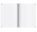 Kołozeszyt A4 w kratkę Touch Trend 2SPI 100 kartek 90g Oxford_99494