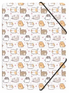 Teczka z gumką A4 PP z nadrukiem kittens Biurfol