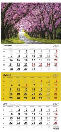 Kalendarz trójdzielny 2027 T-106T-01 Michalczyk i Prokop_95118
