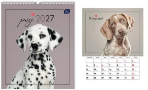 Kalendarz ścienny planszowy 2027 Psy Interdruk