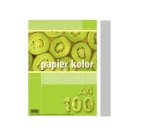 Papier Ksero Kolor A4 Kreska 80g 100ark Popielaty