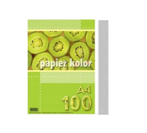 Papier Ksero Kolor A4 Kreska 80g 100ark Popielaty_59773