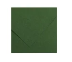 Brystol A2 Ciemny Zielony nr31 Colorline Canson