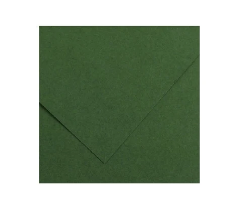Brystol A2 Ciemny Zielony nr31 Colorline Canson_57494