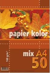 Papier Ksero Kolor A4 Kreska 160g 50ark MIX 5 Kolorów_23438