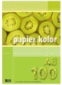 Papier Ksero Kolor A3 Kreska 80g 100ark MIX 10 Kolorów_56374