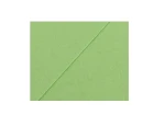 Brystol A2 Jasny Zielony nr29 Colorline Canson